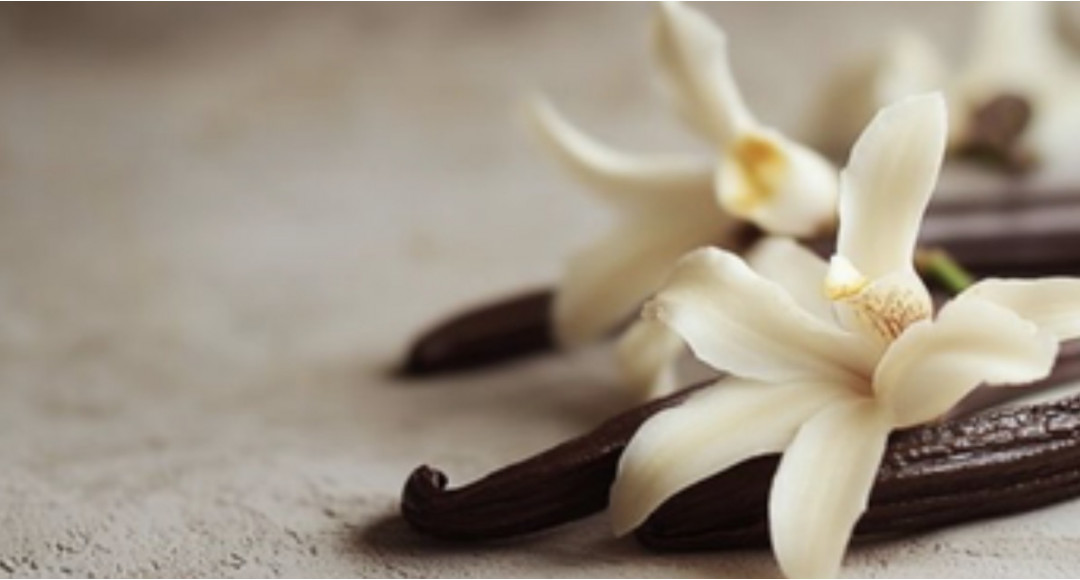 ТОП-3 жіночі парфуми з ванільною нотою: теплі, чуттєві та спокусливі аромати