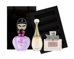 СЕТ «ТОП ДЛЯ НЕЇ ВІД DIOR»