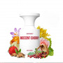 Розпив Indecent Cherry BORNTOSTANDOUT 1мл