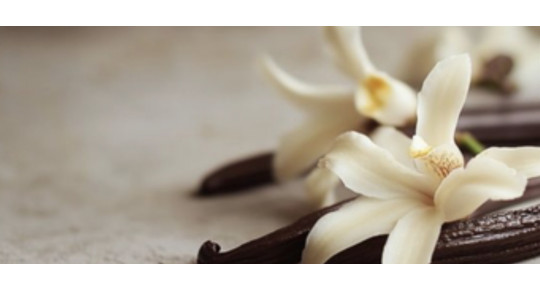 ТОП-3 жіночі парфуми з ванільною нотою: теплі, чуттєві та спокусливі аромати