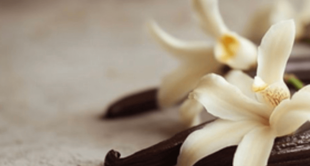 ТОП-3 жіночі парфуми з ванільною нотою: теплі, чуттєві та спокусливі аромати