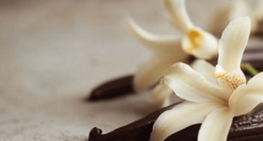 ТОП-3 жіночі парфуми з ванільною нотою: теплі, чуттєві та спокусливі аромати