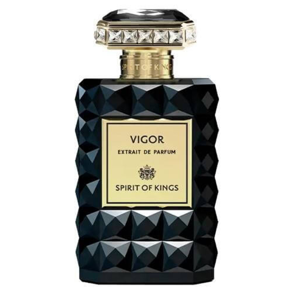 Розпив Vigor Spirit Of Kings 1 мл