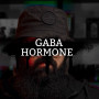 Розпив Gaba Hormone Paris 1мл