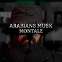 Розпив Arabians Musk Montale 1мл