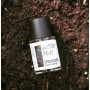 Парфуми Scotch Peat Strangers Parfumerie розпив 1мл