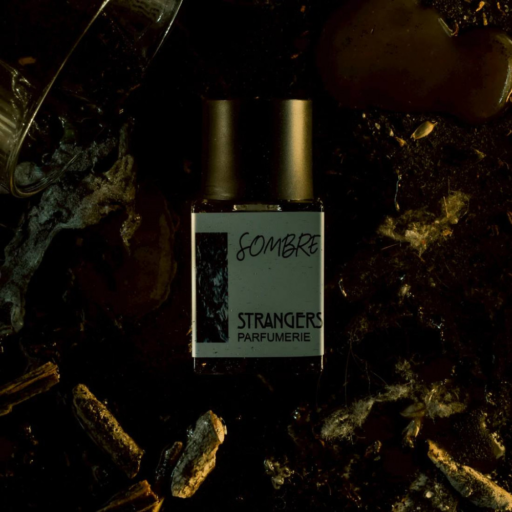 Парфуми Sombre Strangers Parfumerie розпив 1мл