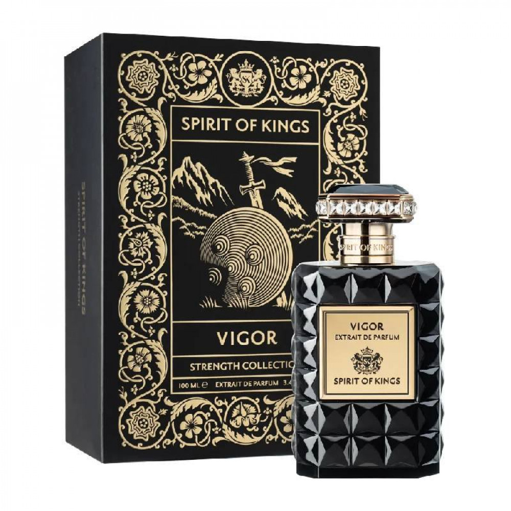 Парфуми Vigor Spirit Of Kings розпив 1 мл