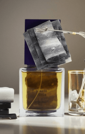 OCEANO VIOLA FILIPPO SORCINELLI