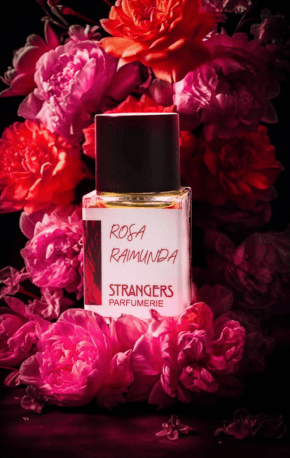 Rosa Raimunda Strangers Parfumerie